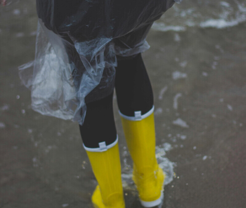 Comment préparer votre maison pour la saison des pluies : Guide complet